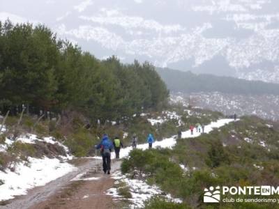 Somosierra - Camino a Montejo;foro senderismo madrid;asociacion de senderismo